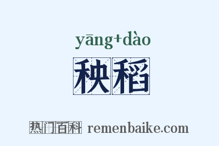 秧稻是什么意思的图片